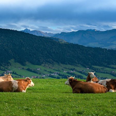 Ferienwohnung Bergpfote - Hund Herzlich Willkommen Scheidegg Eksteriør bilde