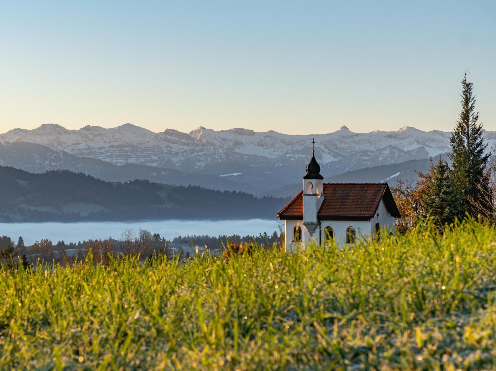 Ferienwohnung Bergpfote - Hund Herzlich Willkommen Scheidegg Eksteriør bilde